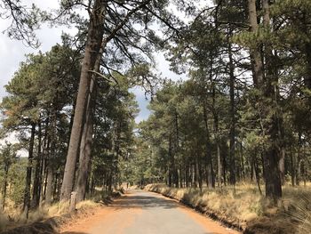 Road amidst trees against sky