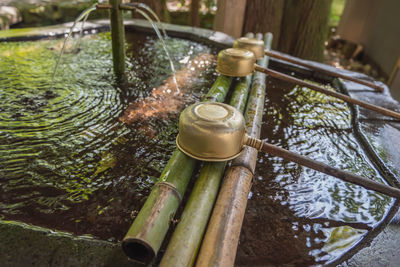 Water fountain in garden
