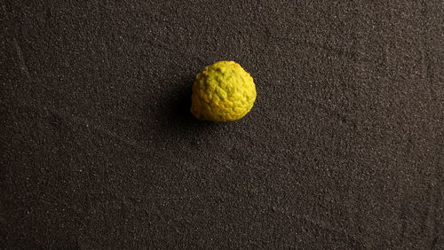 High angle view of yellow balls on table