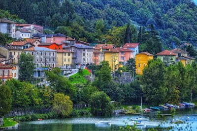 Houses and trees by river in forest