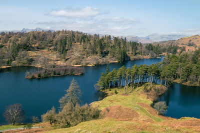 Scenic view of tarn hows in lake district 