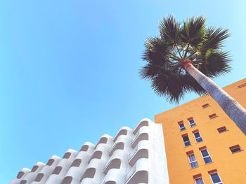 Low angle view of coconut palm tree against building