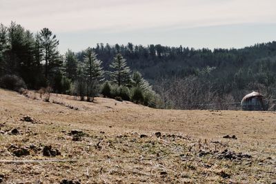 Field and silo