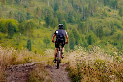 Back male cyclist rides mountain bike trail on background forest landscape