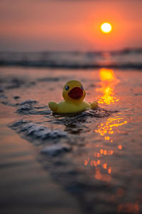 Close-up of yellow rubber duck floating on sea during sunset