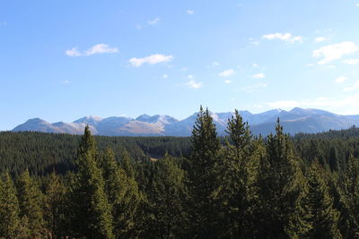 Scenic view of forest and mountains against sky