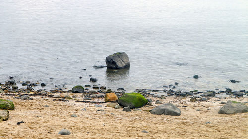 High angle view of rocks on beach