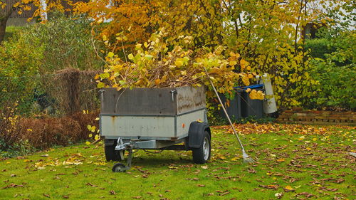 Empty park on field during autumn