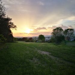 Scenic view of field against sky during sunset