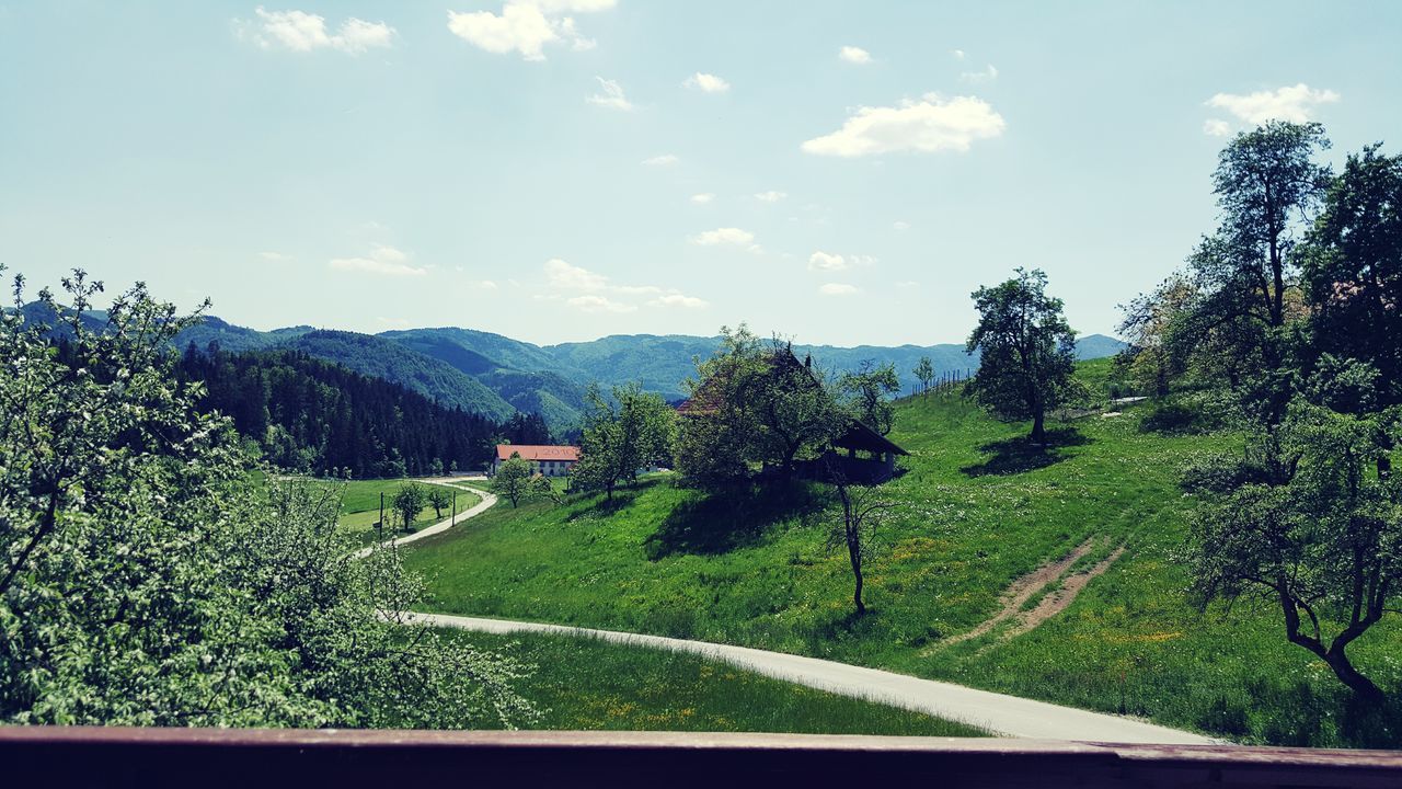 tree, sky, growth, green color, landscape, tranquil scene, tranquility, nature, field, beauty in nature, plant, rural scene, scenics, agriculture, mountain, cloud, cloud - sky, grass, sunlight, road