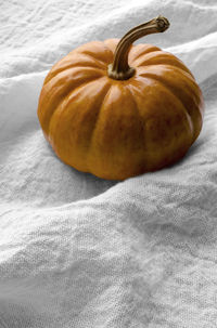 Close-up of pumpkin on textile
