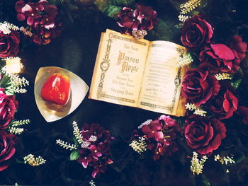 High angle view of roses on table