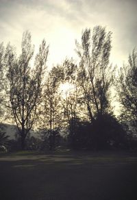 Bare trees on field against sky at sunset