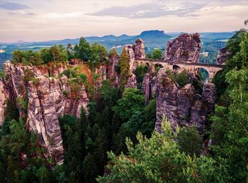 View of trees growing on rock against cloudy sky