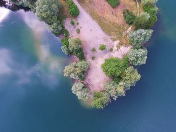 Close-up of tree against sky