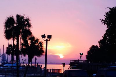 Silhouette of palm trees at sunset