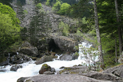 Stream flowing through rocks in forest