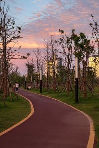 Road by trees in park against sky during sunset