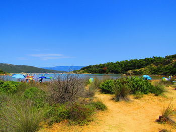 Scenic view of beach against clear blue sky