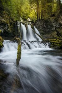 Scenic view of waterfall in forest