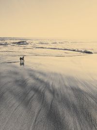 Scenic view of landscape against sky during sunset