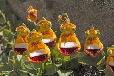 Close-up of toys on plant