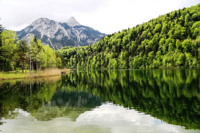 Scenic view of lake by trees against sky