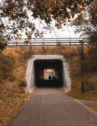 Rear view of man on road amidst trees