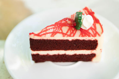 Close-up of cake in plate