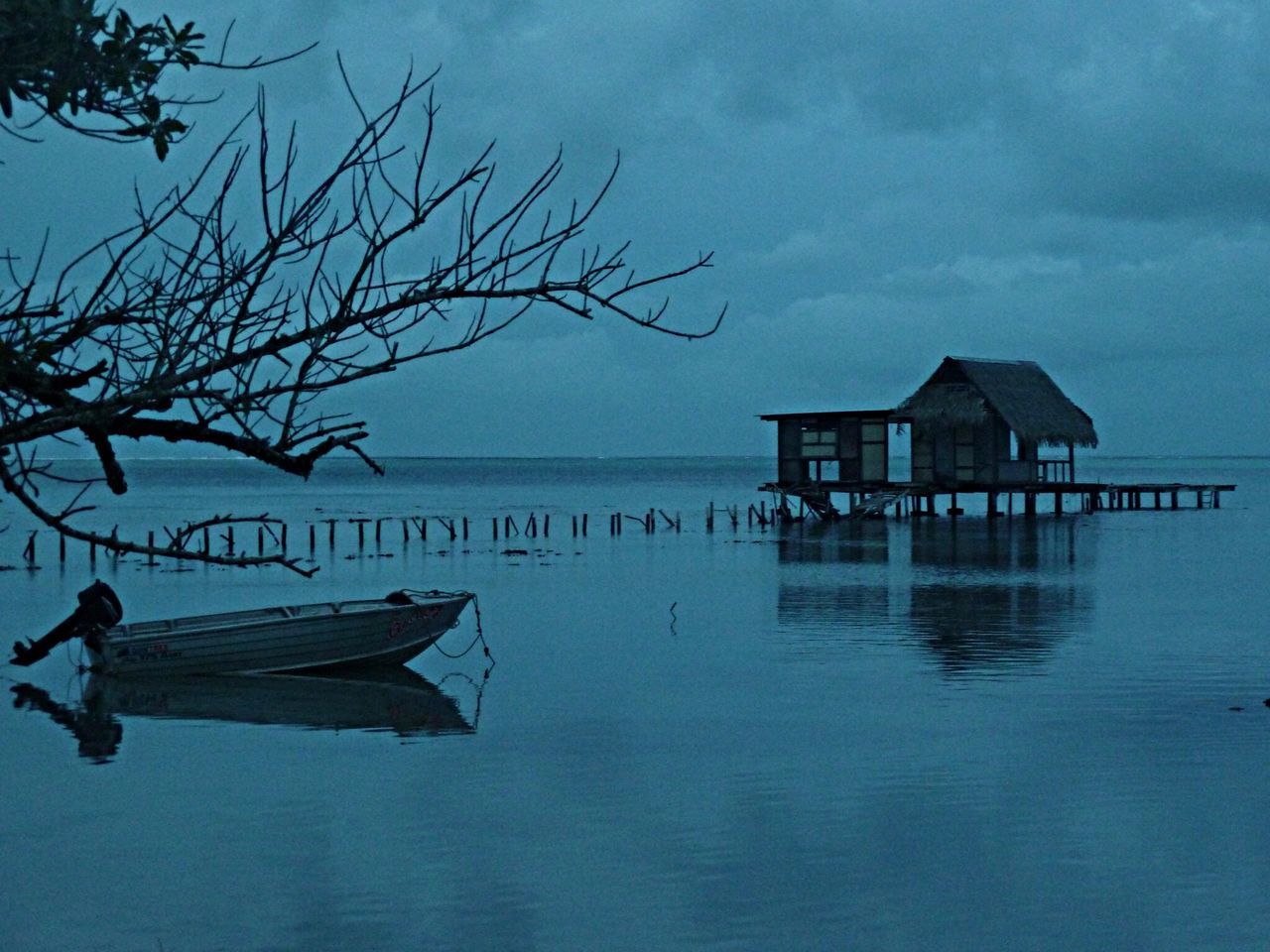 water, sky, bare tree, sea, tranquility, nature, tree, tranquil scene, branch, waterfront, cloud - sky, beauty in nature, lake, horizon over water, scenics, silhouette, nautical vessel, cloud, reflection, outdoors