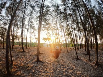 Rear view of man against trees in forest