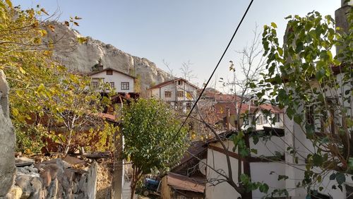 Low angle view of trees and buildings against sky