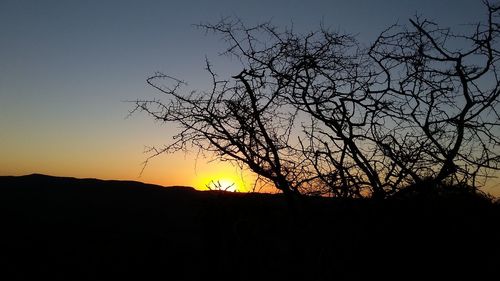 Silhouette of bare tree against sky at sunset