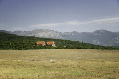 Scenic view of field and mountains against sky