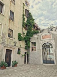 Potted plants on alley amidst buildings in city