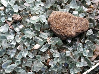 Close-up of pebbles on rock