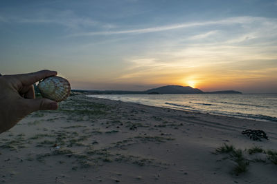 Person holding seashell at beach against sky during sunset