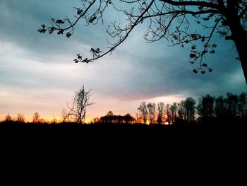 Silhouette trees on field against sky at sunset