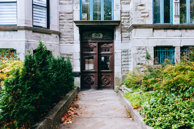 Narrow walkway along buildings