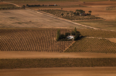 Aerial view of a country houses in agricultural field in castilla la mancha, spain