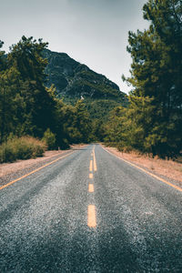 Surface level of road amidst trees against sky