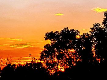 Silhouette trees against sky during sunset