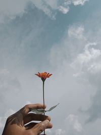 Cropped hand holding yellow flower against sky