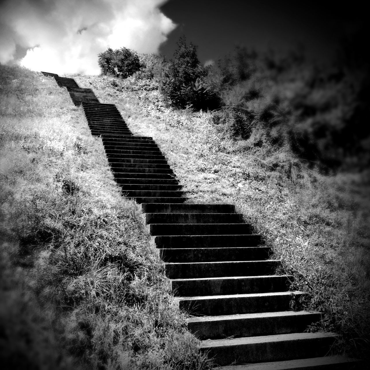 steps, steps and staircases, staircase, sky, low angle view, cloud - sky, tranquility, field, day, outdoors, nature, no people, tree, growth, plant, high angle view, tranquil scene, grass, sunlight, landscape