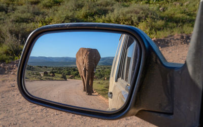 Reflection of road on side-view mirror