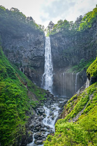 Scenic view of waterfall in forest