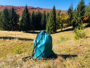 Tent on field against trees in forest