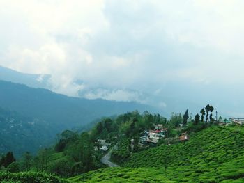 Panoramic view of agricultural field against sky