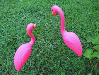 High angle view of pink leaf on grass