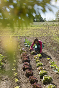 Woman working in her vegetable garden, italy